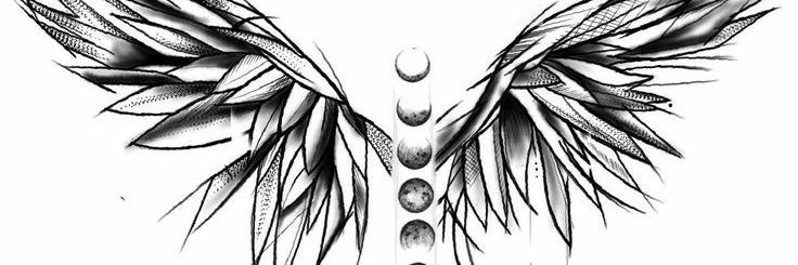 AvidTR12430's profile banner image