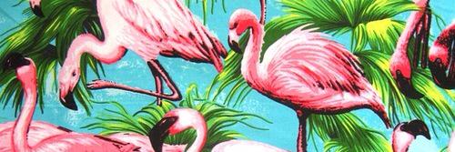 hhollaa's profile banner image