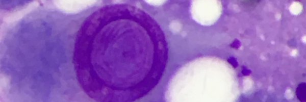 DrFahadAlam Profile Banner