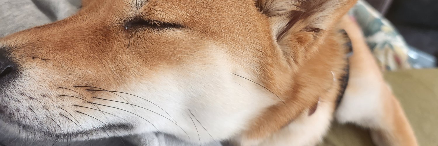 dwustus's profile banner image