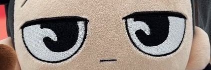 bast1luvswallace banner