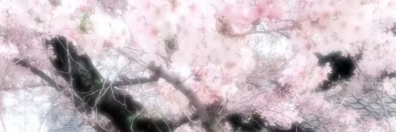 lnm129's profile banner image