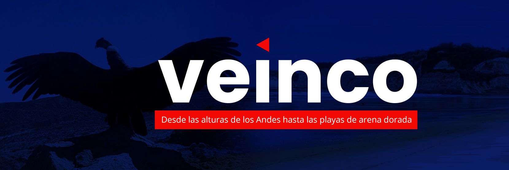 VeincoEC's profile banner image