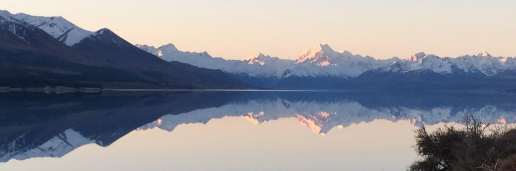 Mandy Dempsey banner