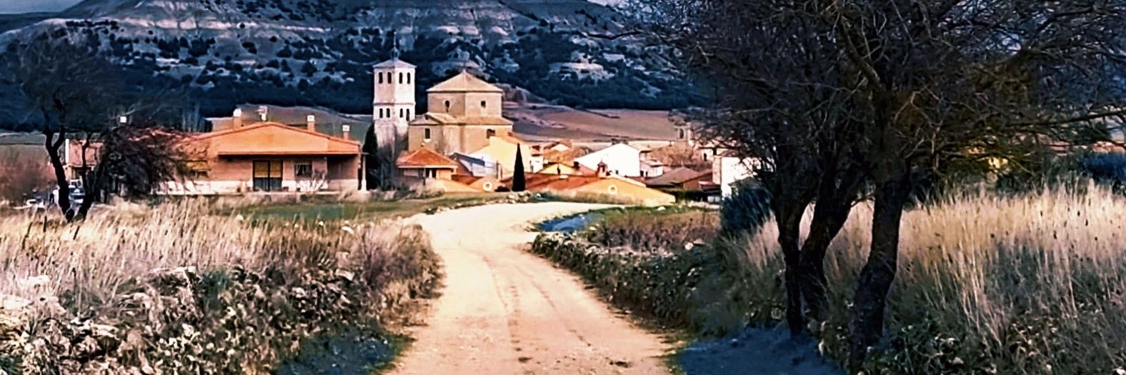 Diego Puerto Arranz banner