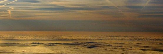 BuzzTheSquirrel banner