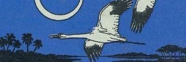 beldimili's profile banner image
