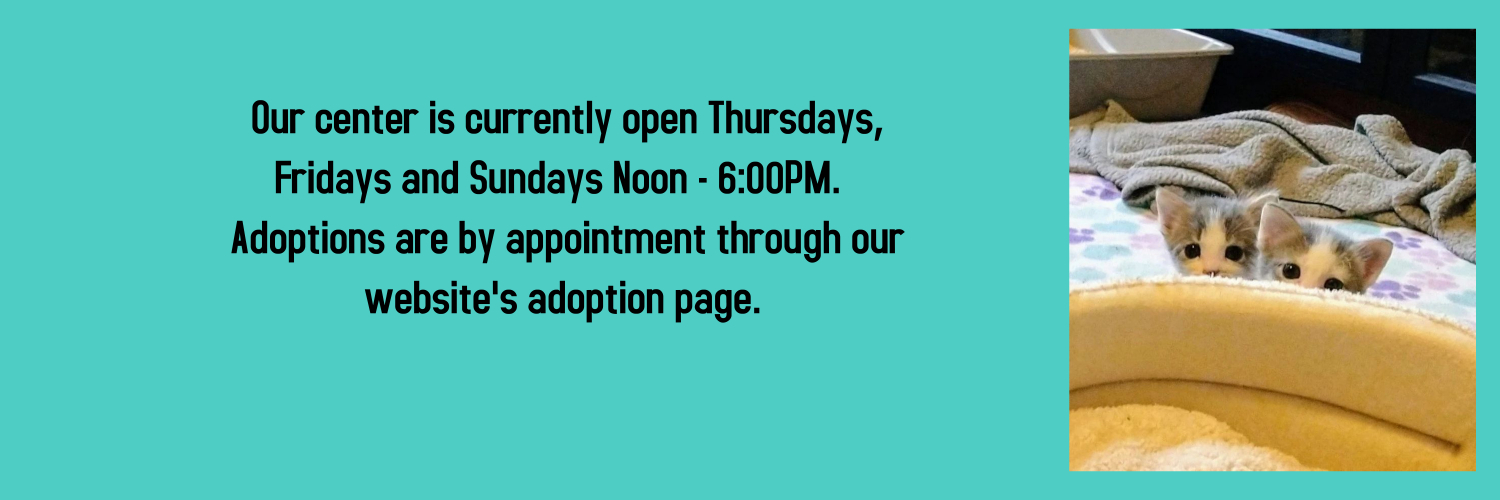 Happy Tails Pet Sanctuary banner