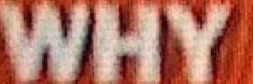 Tony KornWHYser banner