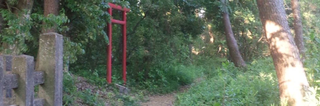 とうふう@ウサギヤシキのイナリ banner