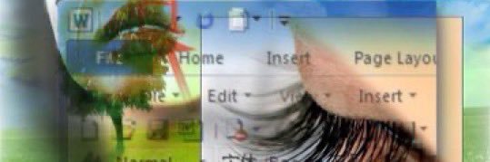 bum lee banner