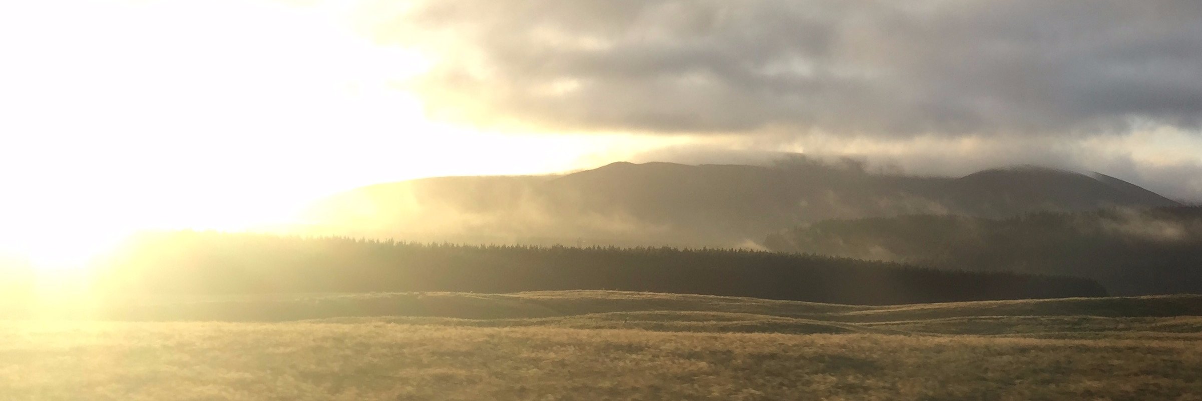 David Bent @davidbent.bsky.social banner