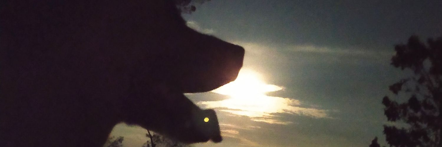 ReservaSumario's profile banner image