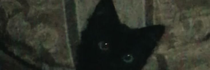 lùne. banner