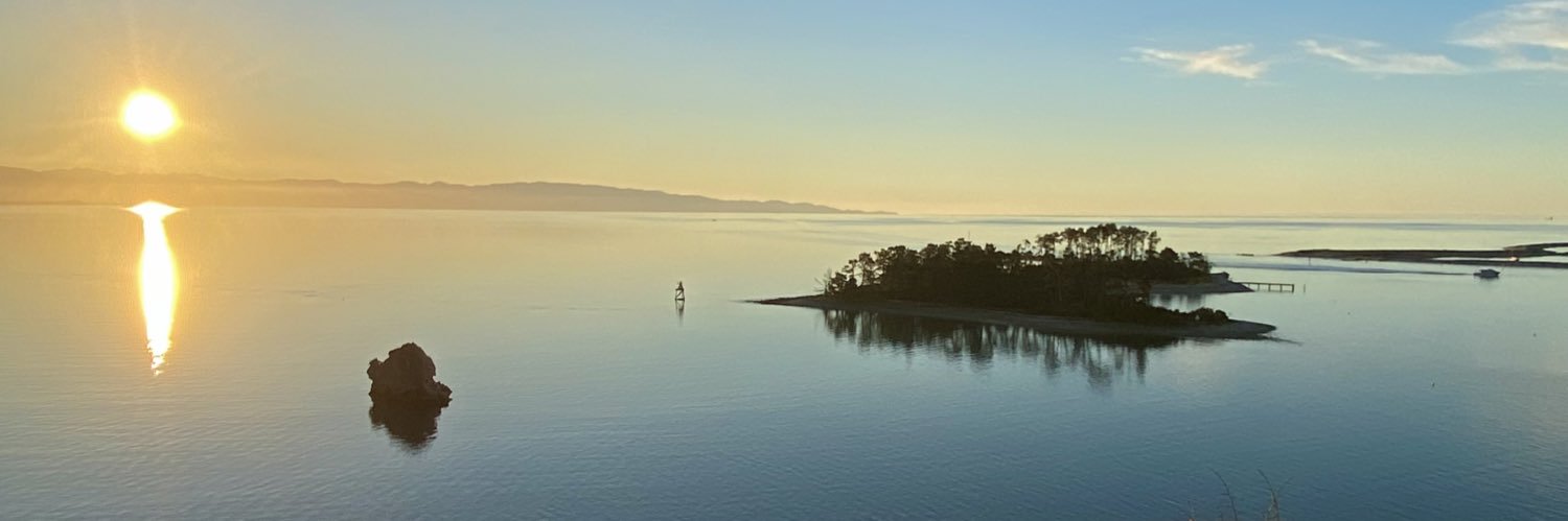 Christian Muche banner