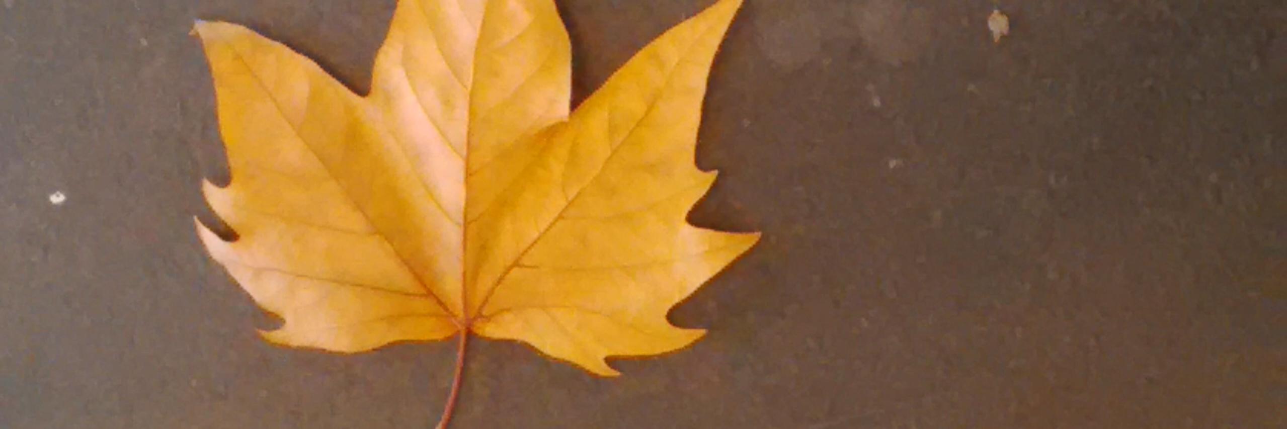 divrakesh's profile banner image