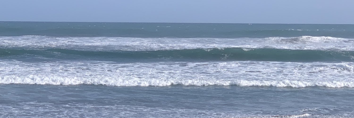 seaamonnn banner