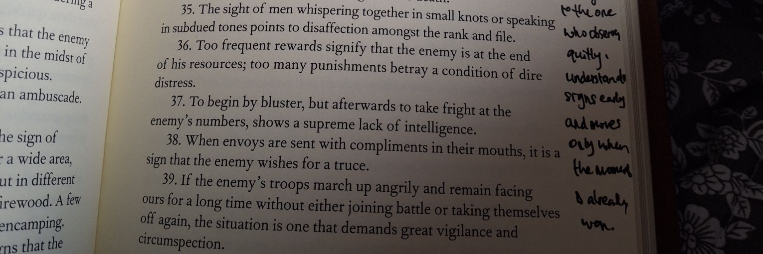 araeehxa🦋་༘࿐ banner