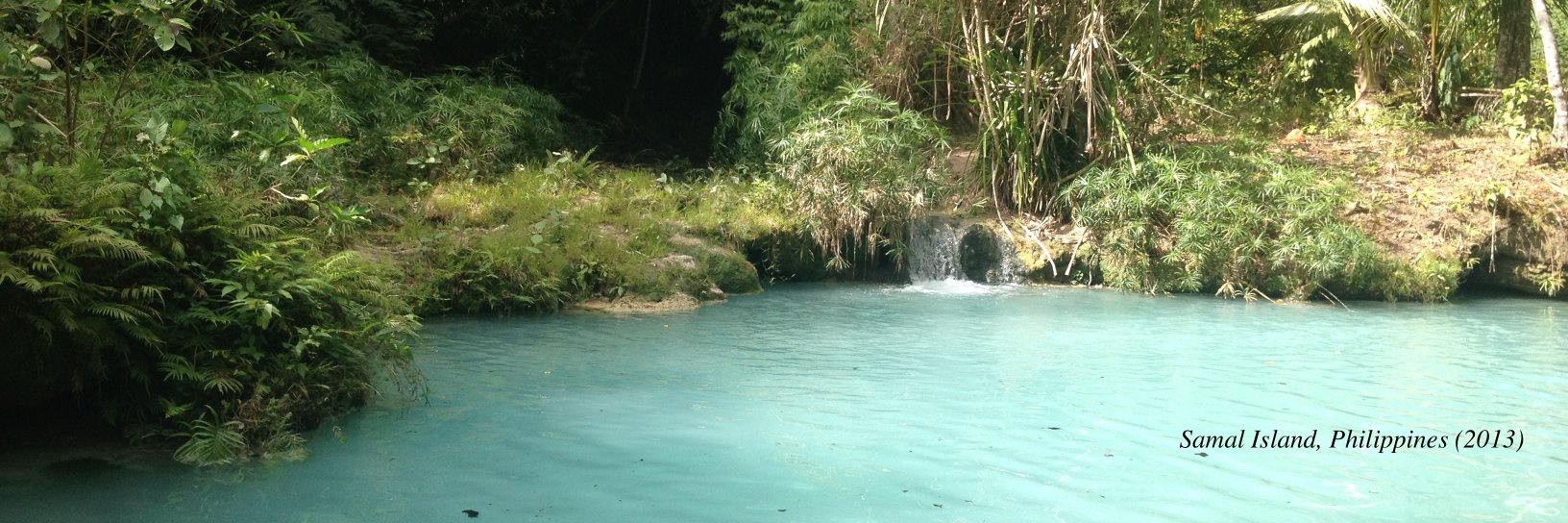 Omar Shahabudin McDoom banner