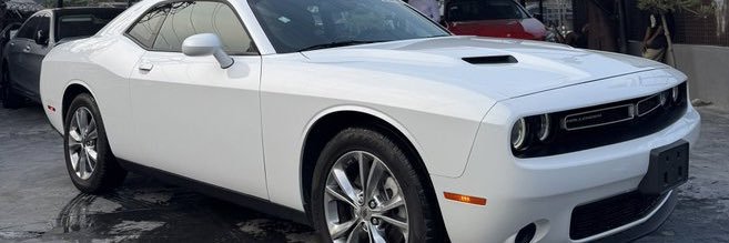 mr_tee banner