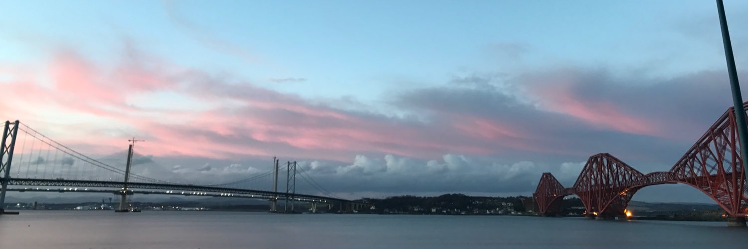 Susie Davidson banner