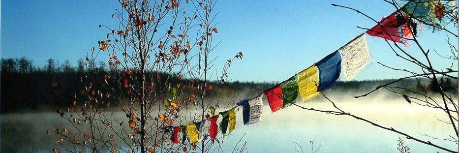dharmachef's profile banner image