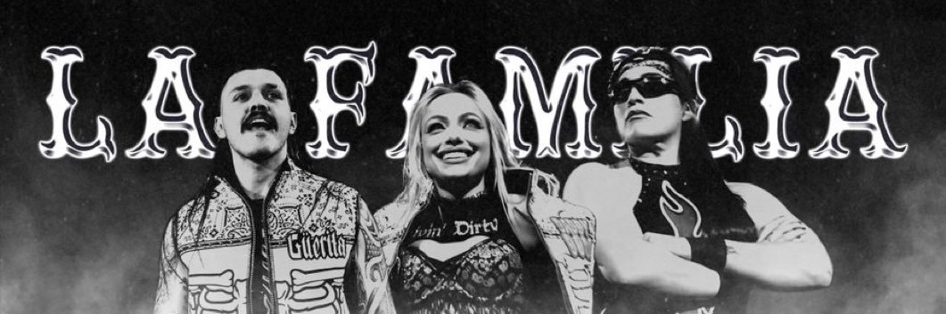 Nick WWE banner