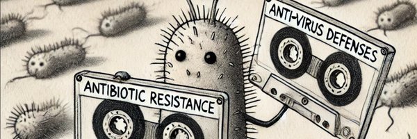 ImmunoSketch Profile Banner