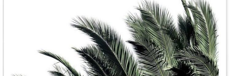 RuangRiuhRedam's profile banner image
