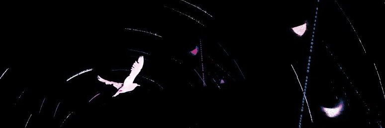 널's banner