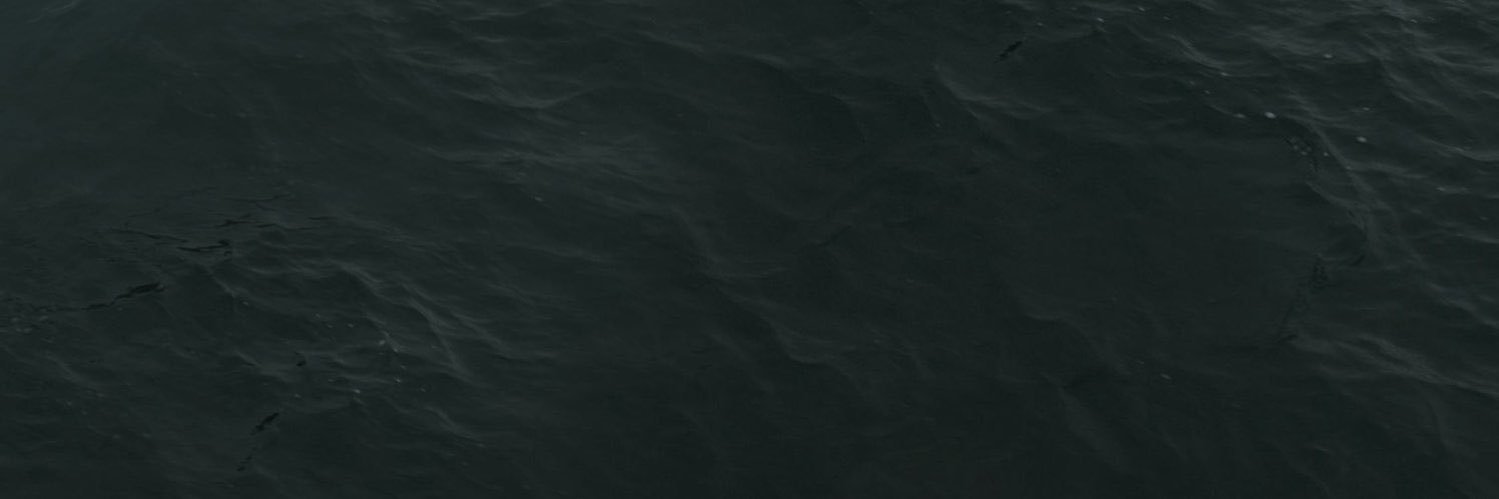 121769650d banner