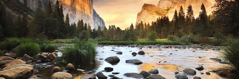 Alberich Wald banner