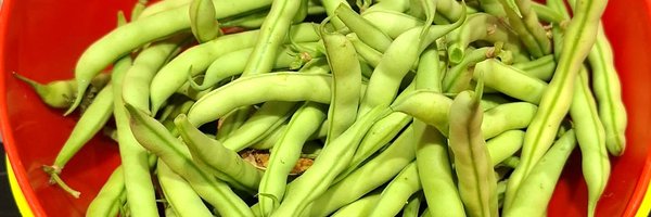 Human_Edge_Perf Profile Banner