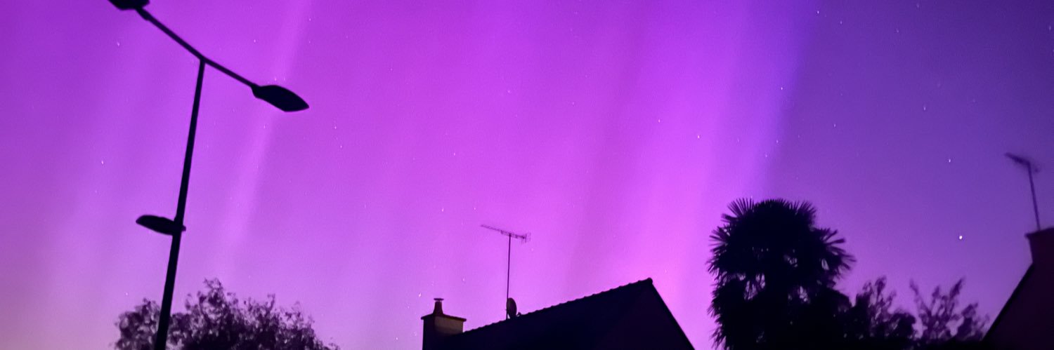 0xShrly banner
