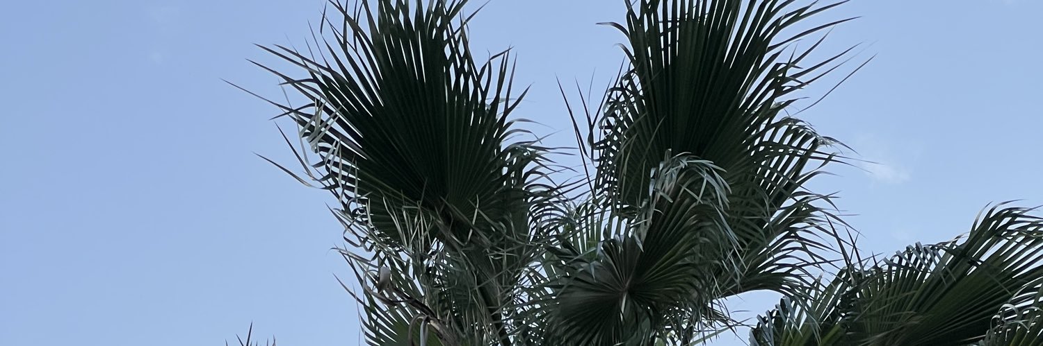 Valentina Alvarez banner