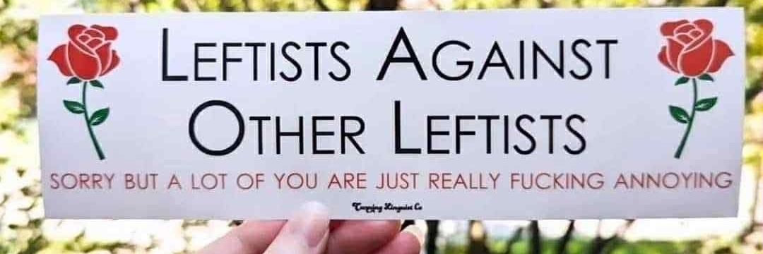 Principles & Pragmatism🌹🏳️‍⚧️🟣🎗️🟦🇺🇦🐝🪷🇬🇧 banner