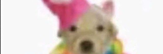 waos banner