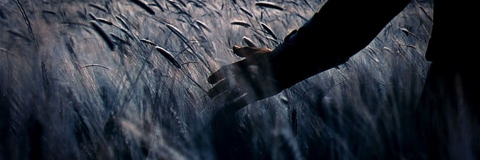 yflambard's profile banner image