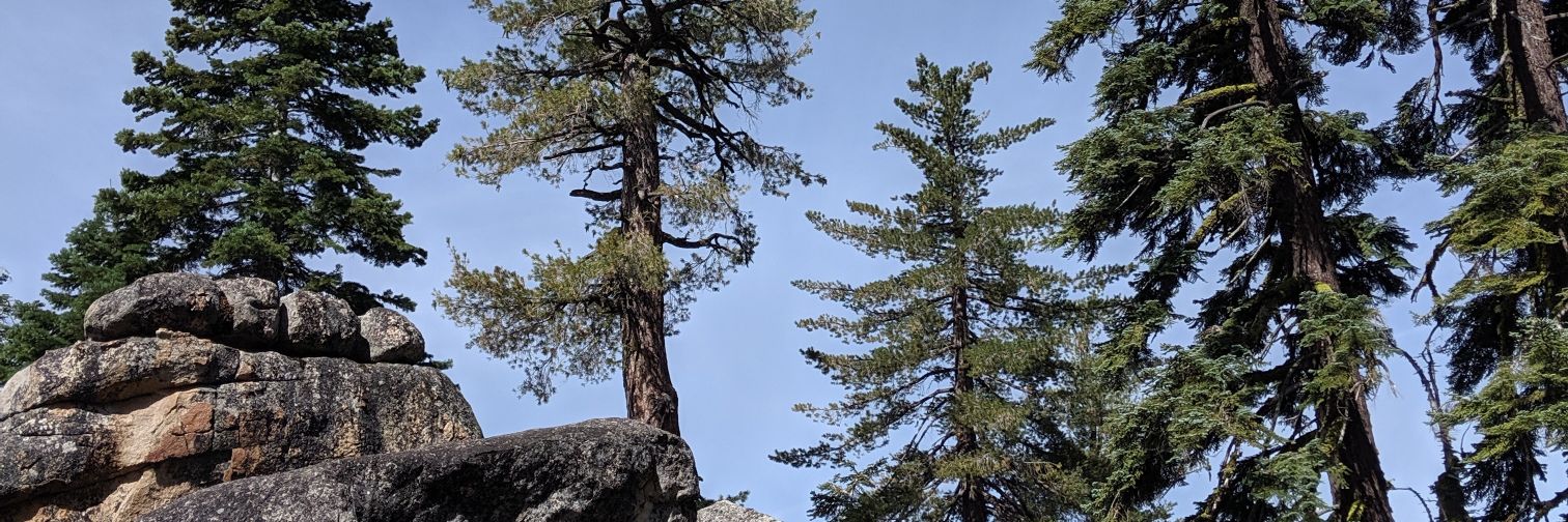 adamame 🌾 banner