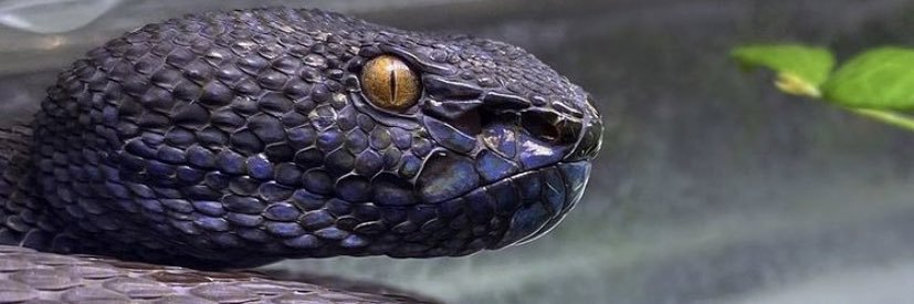 _ValeFernanda's profile banner image