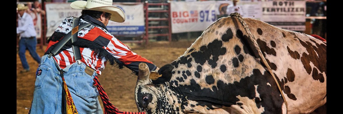 RodeoProfessor's banner