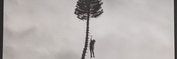 Bukun_mie Profile Banner