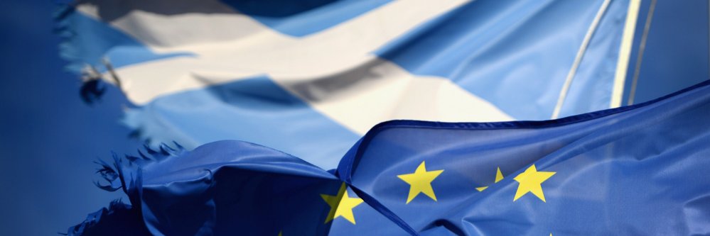 ellenjoelle's profile banner image