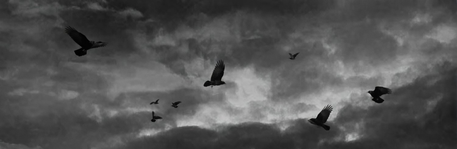 DeimoZ banner
