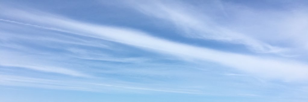 Sab Cournoyer banner