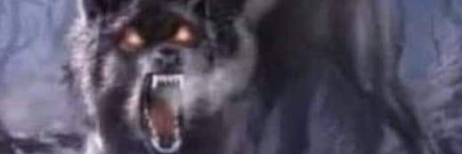 𝕔𝕠𝕪𝕠𝕔.ᐟ✩°｡⋆˚⁺ banner