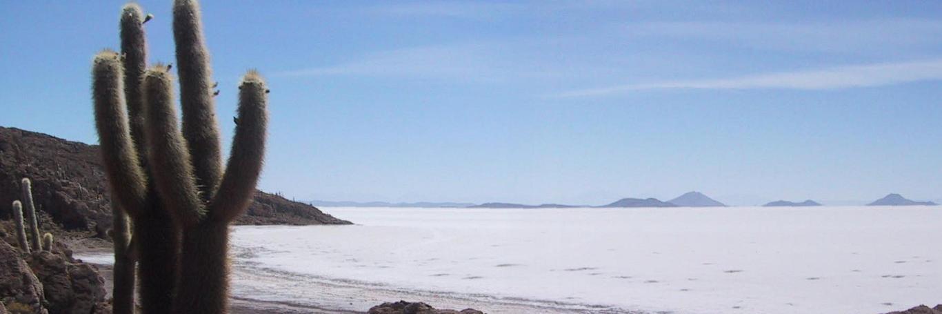 ottodv 🇺🇦 ottodv.bsky.social banner