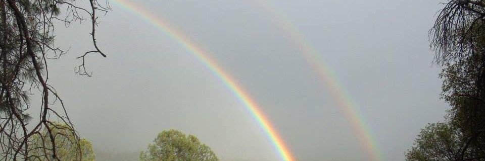 MissPrissChris's profile banner image