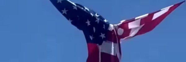 roxyredpill Profile Banner