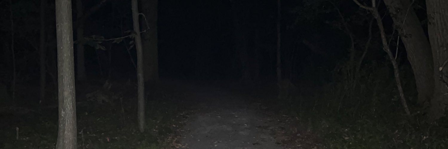 ⁺‧₊˚🥀🩸⦻𝔊𝔢𝔞𝔯⦻🦇🍷˚₊‧⁺ banner